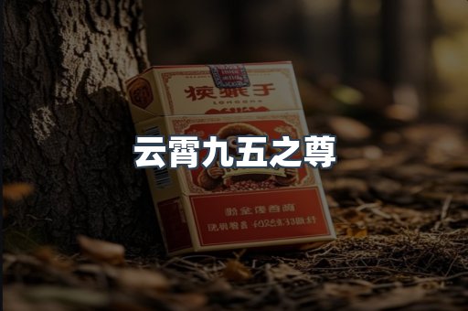 云霄九五之尊
